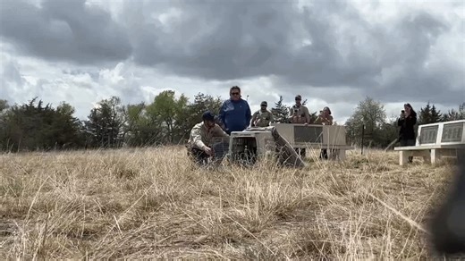 Parks and Wildlife Authorities Release Eagle After Months-Long Recovery