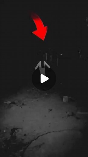 darawana 💀😱 video on Instagram: "#darwanw video"