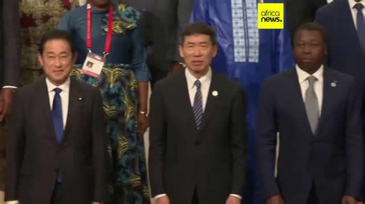 Japan cuts Africa exchange initiative amid increased immigration fears