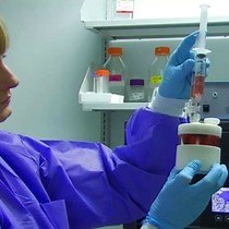 Video: Culturing and Applications of Rotating Wall Vessel Bioreactor Derived 3D Epithelial Cell Models