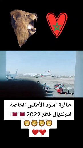 #مونديال_قطر #مونديال_قطر_2022 #المغرب🇲🇦تونس🇹🇳الجزائر🇩🇿 #منتخب_المغرب #جماهير_المغرب #جماهير_المغرب_في_قطر