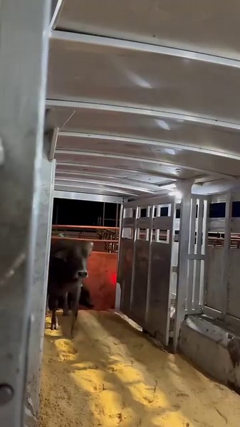 50K views · 2.4K reactions | Next stop: Las Vegas! | Nothin' But Try Ranch and Event Center | Facebook