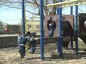 KiDS and the ENVIRONMENT part 2