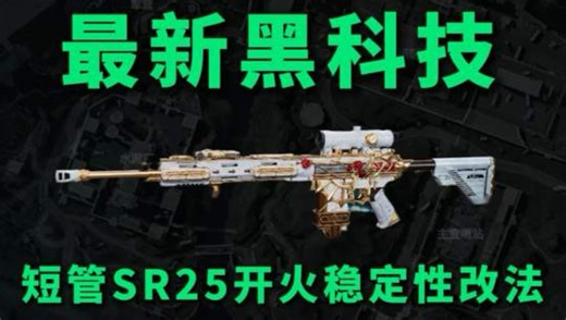 最新黑科技！短管SR25开火稳定性改法颠覆你的认知！（觉得初速慢可以换轻语）SR-25射手步枪-烽火地带-6JFS8LC01883AA47LLRBF