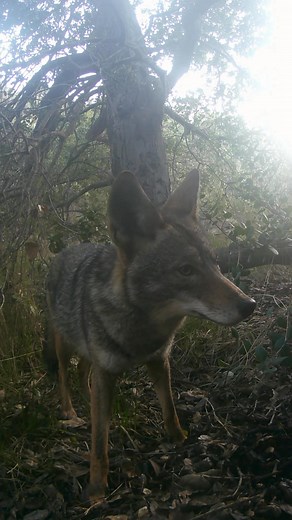 It got me. | Dart Club