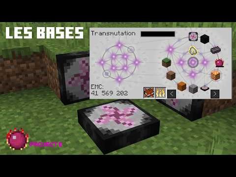 Les bases essentielles pour maîtriser Project E