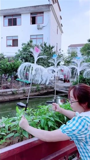 Best Solar Motion Sensor Light for Home Full Demo