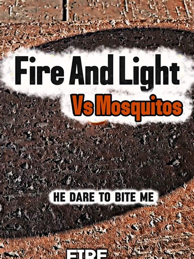 Mosquito vs sunlight and Fire coment which one gone crazy #mosquito #sunlight #fire #revenge #viralvideo