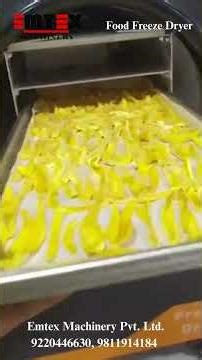 Mango Freeze Dryer || Food Freeze Dryer