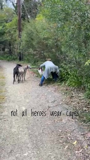 Meet Helen, she’s a local hero 🦸‍♀️ Not only does she regularly collect the cans and bottles that litter the roadsides of Wonga Park while walking her dogs, but she also coordinates drop-offs for local residents who are unable to do it themselves. The proceeds she donates through the @Victorian CDS scheme to animal charities, including Mange Management, with the total amounting to thousands of dollars each year 🙌🏻 As you know, the money we raise through the CDS scheme (and other donations) is