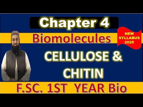 F.Sc. 1st Year Biology | Cellulose and Chitin: Structure & Functions | Class 11 New Syllabus 2025