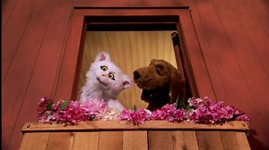 Lomax The Hound Of Music Opening PBS (2008) DVD 2