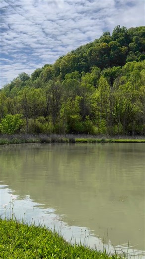Beautiful Saltville, Virginia. #oldhouselife #saltvilleva | Old House Life - Michelle Bowers