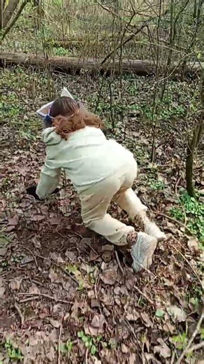 #libre#foret#chat#en#liberter