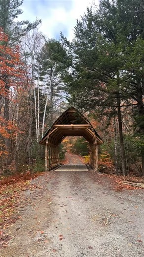 ✨ retreat recap ✨ A weekend off-the-grid. A weekend learning the art of homesteading circular living off the land. We practiced yoga. We meditated. We harvested fresh food from the garden made batches of spicy fermented winter radish to bring home. We pumped drinking water from the well. We learned to carve widdle wood. We ate organic meals grown on the homestead prepared by our host. We found our inner child as we played on the swings. We mindfully explored. We slept in the elements. We “christ