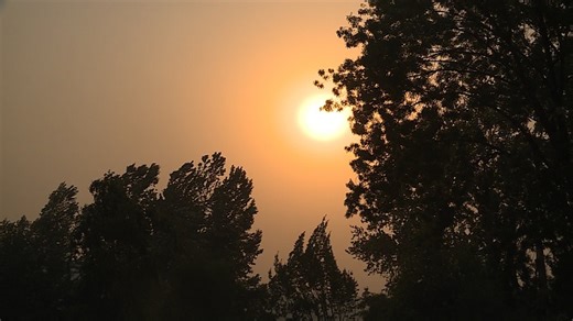 OHSU finds air pollution can deter brain development