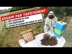 Creating a swarm by tapping: the simple method for populating a hive of another size