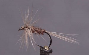Video: How to Tie a Blue Quill Variant - Orvis News