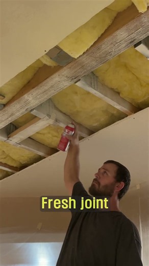 How to Permanently Seal Water-Damaged Ceiling Beams! 🖌️