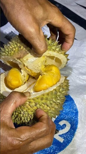 Unboxing durian ochee atw duri hitam langsung rebutan, bukan durian lokal Sumatera Barat #kokkalai