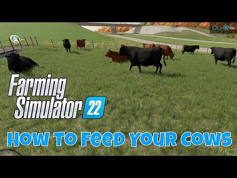 How to Feed Your Cows | Farming Simulator 22 Tutorial