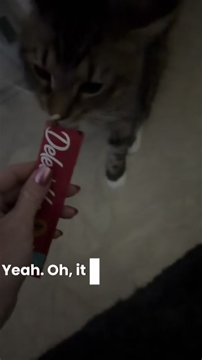 It was picking up the tv commercial lol 😂 #catsoftiktok #cats #kitty #mittens #cat