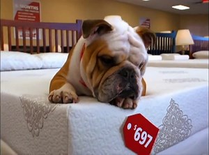 Mattress Discounters TV Spot, 'Four Years Interest Free'