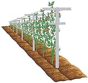 MRGARDEN 7-Feet Grape Vine Trellis 2pcs for Raspberry, Grape Vines, Outdoor Climbing Plants, Heavy Duty Fiberglass Stake Vineyard Trellis Rust-Proof, Easy to Install Garden Trellis