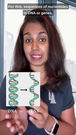 How DNA Stores Genetic Information? #science #shorts