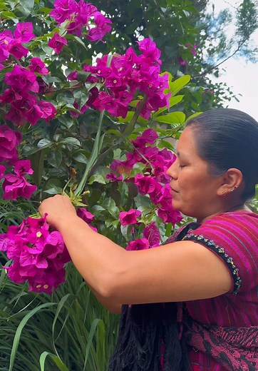 Preparación de Plantas Medicinales para Gripe y Fiebre