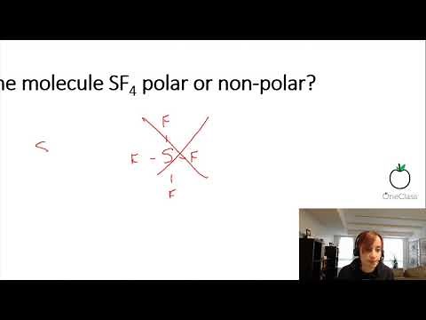 sf4 polar or nonpolar