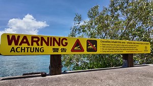 Warning Achtung sign warning people Crocodiles inhabit the area and attacks may cause injury or death | Premium Stock Video Footage