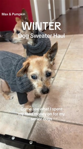 Handcrafted Dog Sweaters from Alqo Wasi for Senior Dogs