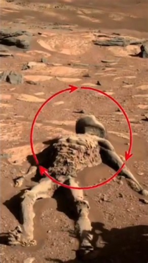 NASA Rover Captures 'Alien Skeleton' on Mars? The Truth Behind the Viral Rock!