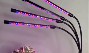 Watch MY REVIEW of the LED Grow Lights on Amazon Live