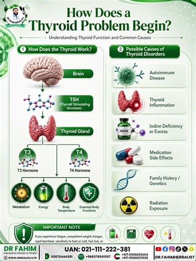 🦋 What Causes Thyroid Problems? | Learn the Signs & Thyroid Function