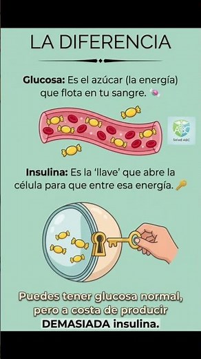 INSULINA no es lo mismo que GLUCOSA ❌ ¿Estás teniendo resistencia a la insulina? #salud #diabetes