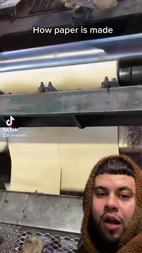 How Paper Is Made: From Trees to Sheets