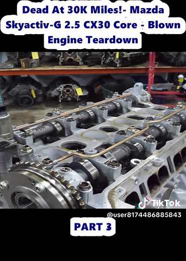 user8174486885843 on TikTok