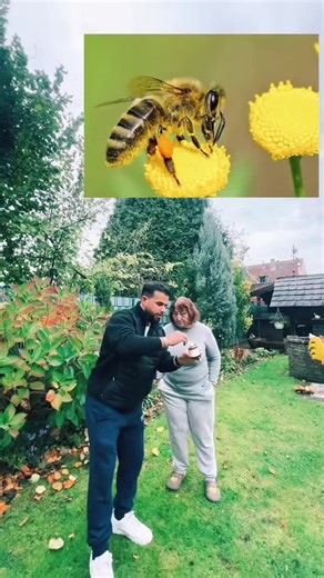 Exploring the Unique Cultures of America, Morocco, and Turkey