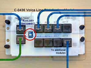 Channel Vision Technologies for Voice Network Operation