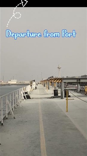 Watch a Bulk Carrier Set Sail | Port Departure Moment @SeaDutySpark @merchant navy reality