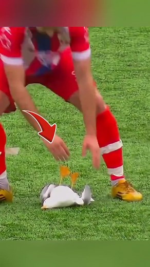 CPR Saves Lives: A Footballer's Story