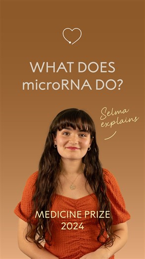 Have you heard of microRNA? Discover this year’s Nobel Prize in Physiology or Medicine in our one-minute crash course. | Nobel Prize
