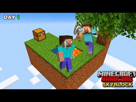 Try to beat ENDER DROGON in SKYBLOCK 