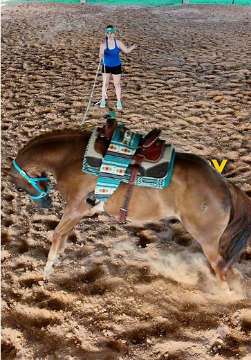 How to Stop a Horse Acting Up While Lunging