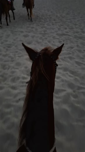 Sabera (@sabera92)’s videos with original sound - solartunne
