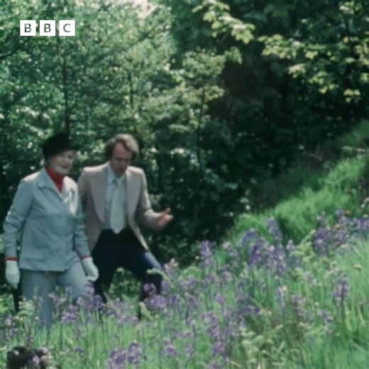 1976: Nationwide explored the mystery of the Cottingley Fairies with the woman who sparked it all, Elsie Wright. | BBC Archive