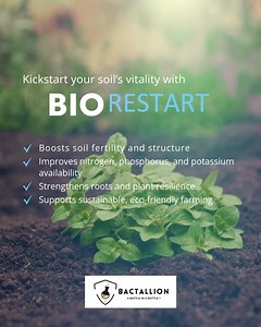 Kickstart your soil’s vitality with BIORESTART — a broad-spectrum microbial soil amendment that boosts rhizosphere diversity and fertility. | Bactallion