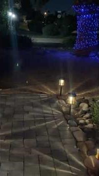 These Solar Path Lights Make Your Yard Look EXPENSIVE 🌙✨ (Night Test!) #amazonfinds